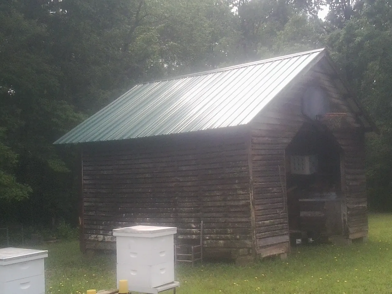 Green metal roof on a weathered barn beside stacked beehives in Swansea